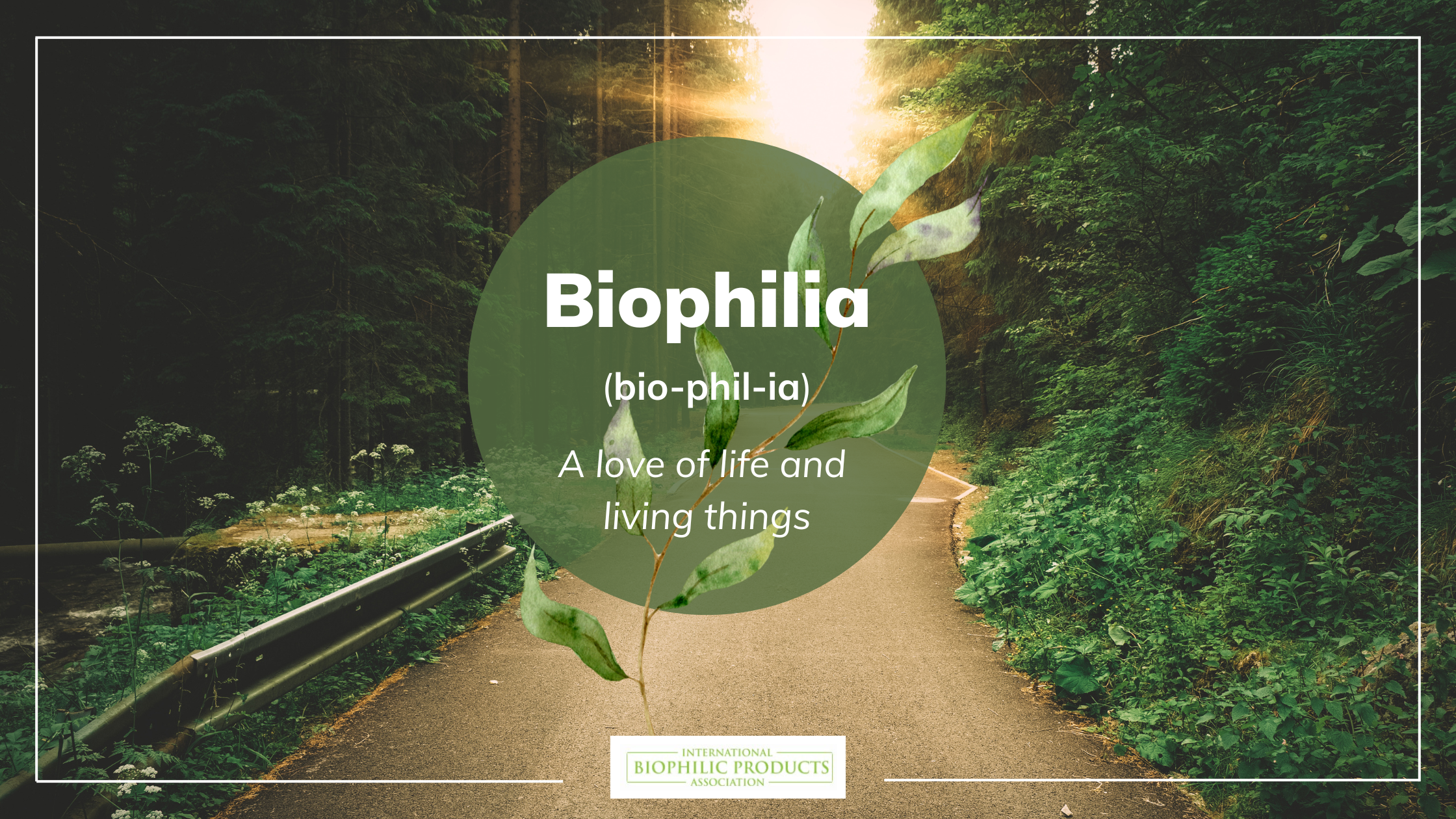 An image about what Biophilia is