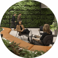 5 Biophilic design connection