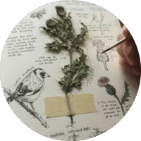 4 biophilic design development of standarts e1745009530999