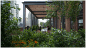 Learning Center 4 bringing the outside into the office e1745269851723