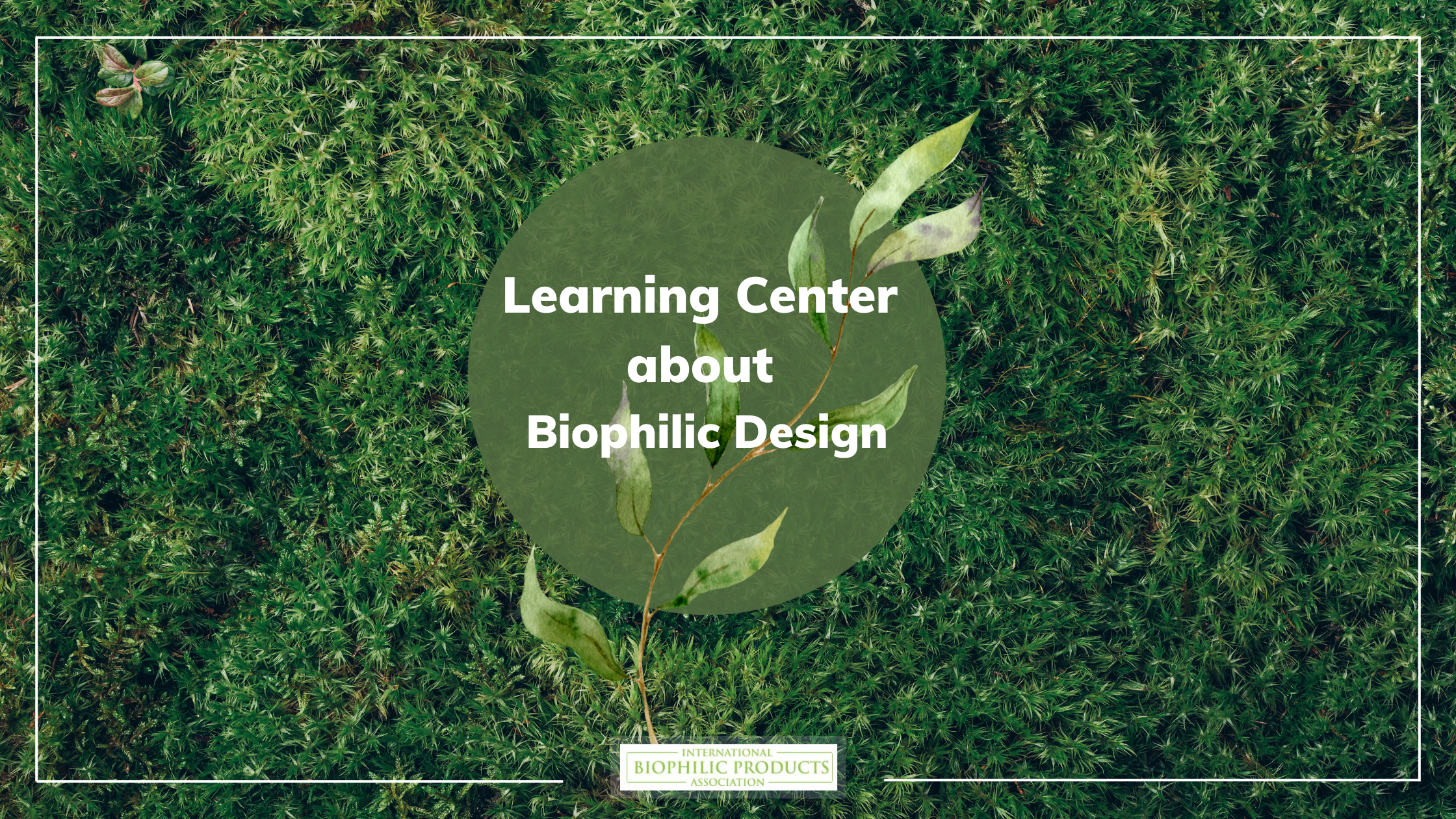 Learning Center 1 learning center about biophilic design