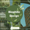 What Biophilic Design is