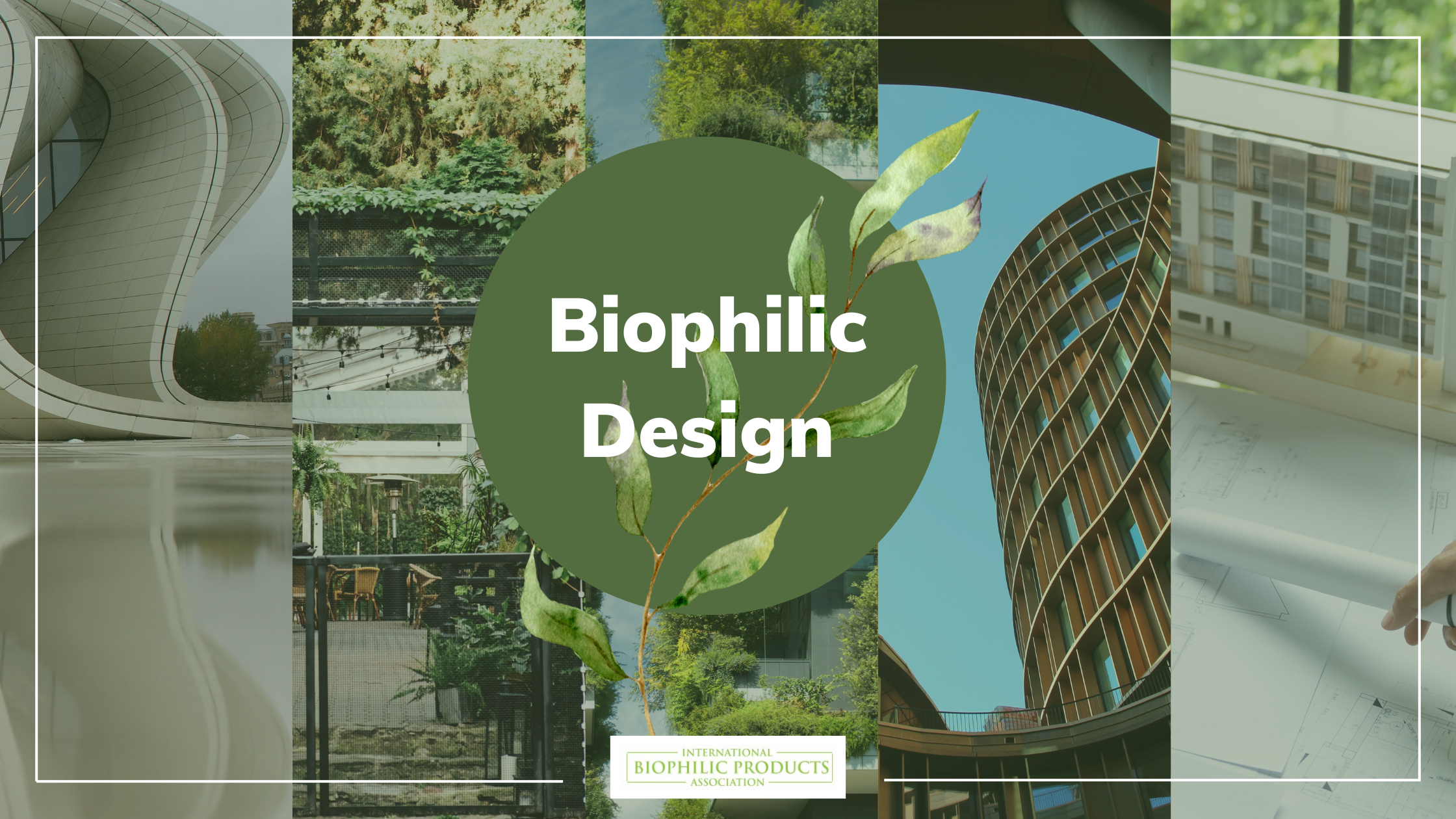 What Biophilic Design is