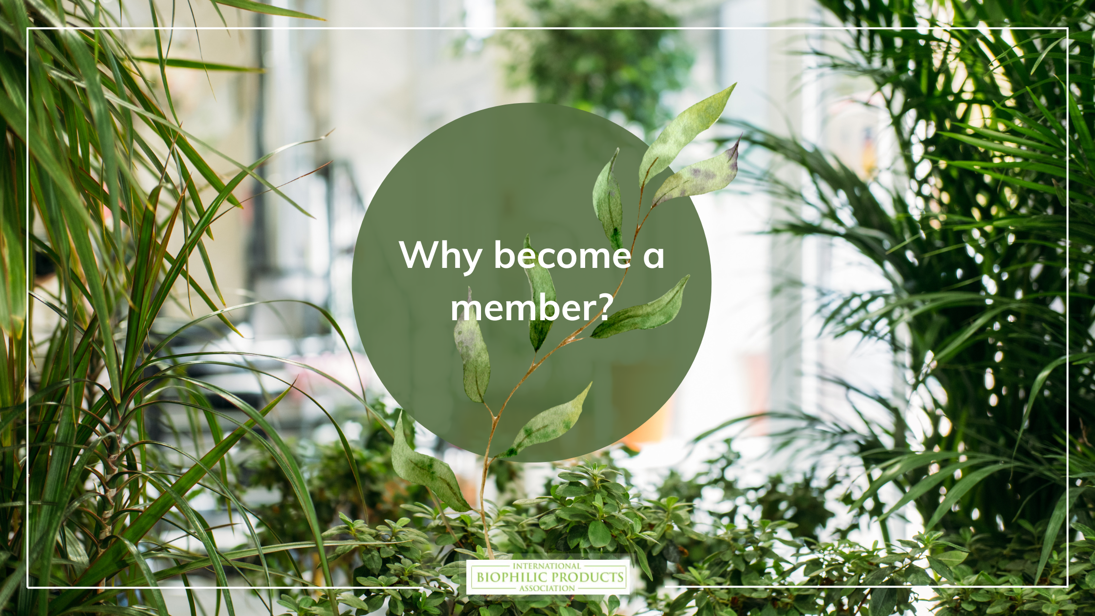 Why Become a Member of the IBPA? 1 why become member biophilic products