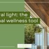 Image of window with natural light
