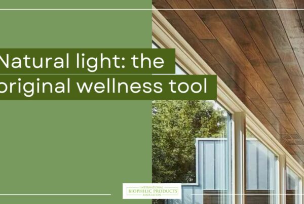Image of window with natural light
