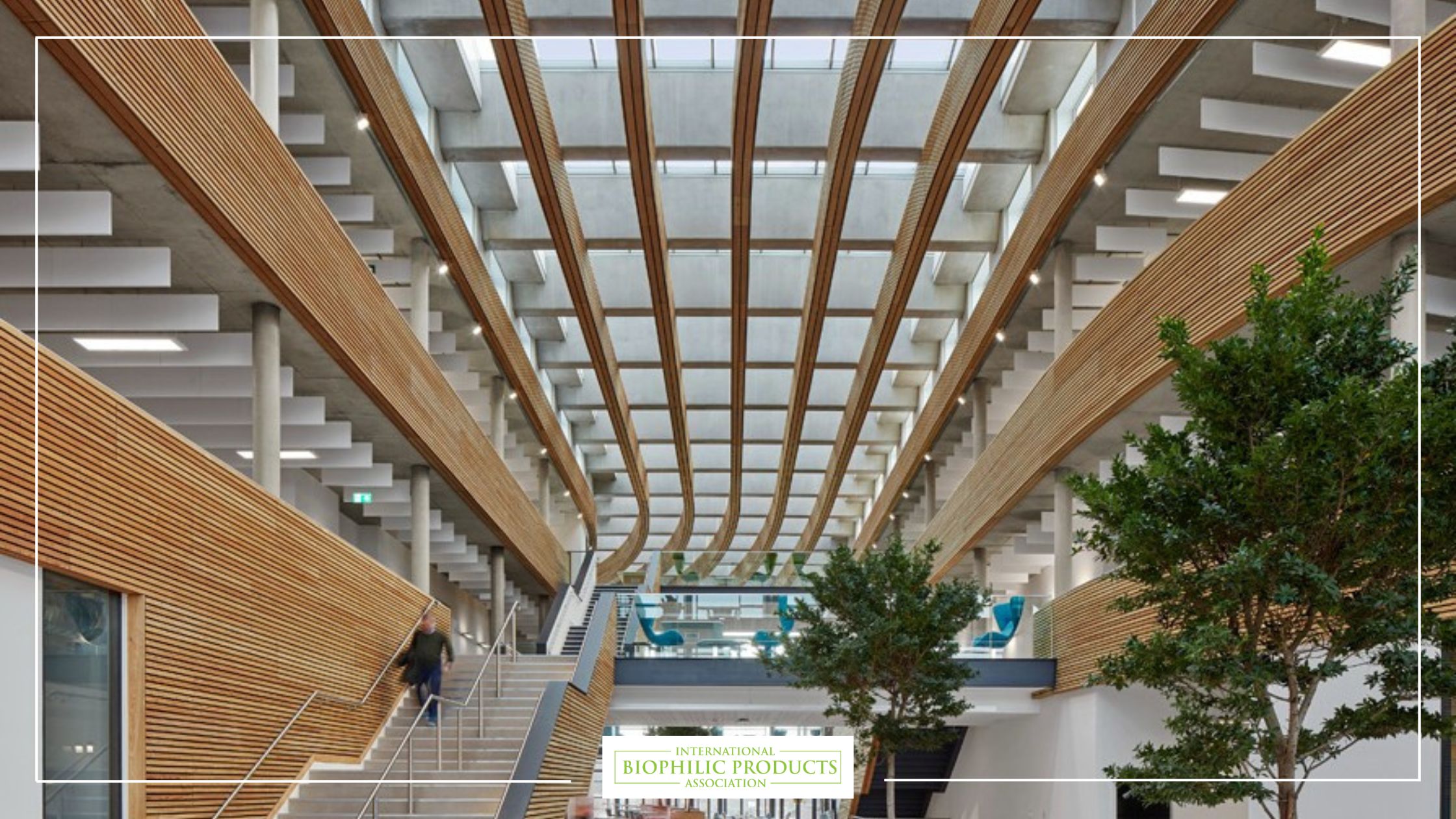 Biophilic Building