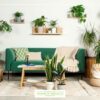 Modern living room decorated with various green plants in different pots and wooden stands, including a green sofa with cushions, creating a cozy and natural environment.