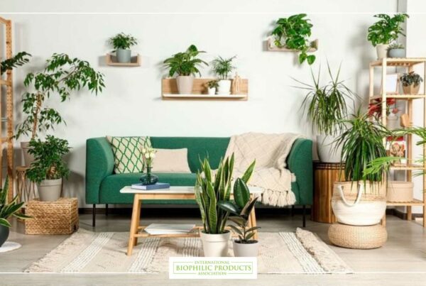 Modern living room decorated with various green plants in different pots and wooden stands, including a green sofa with cushions, creating a cozy and natural environment.