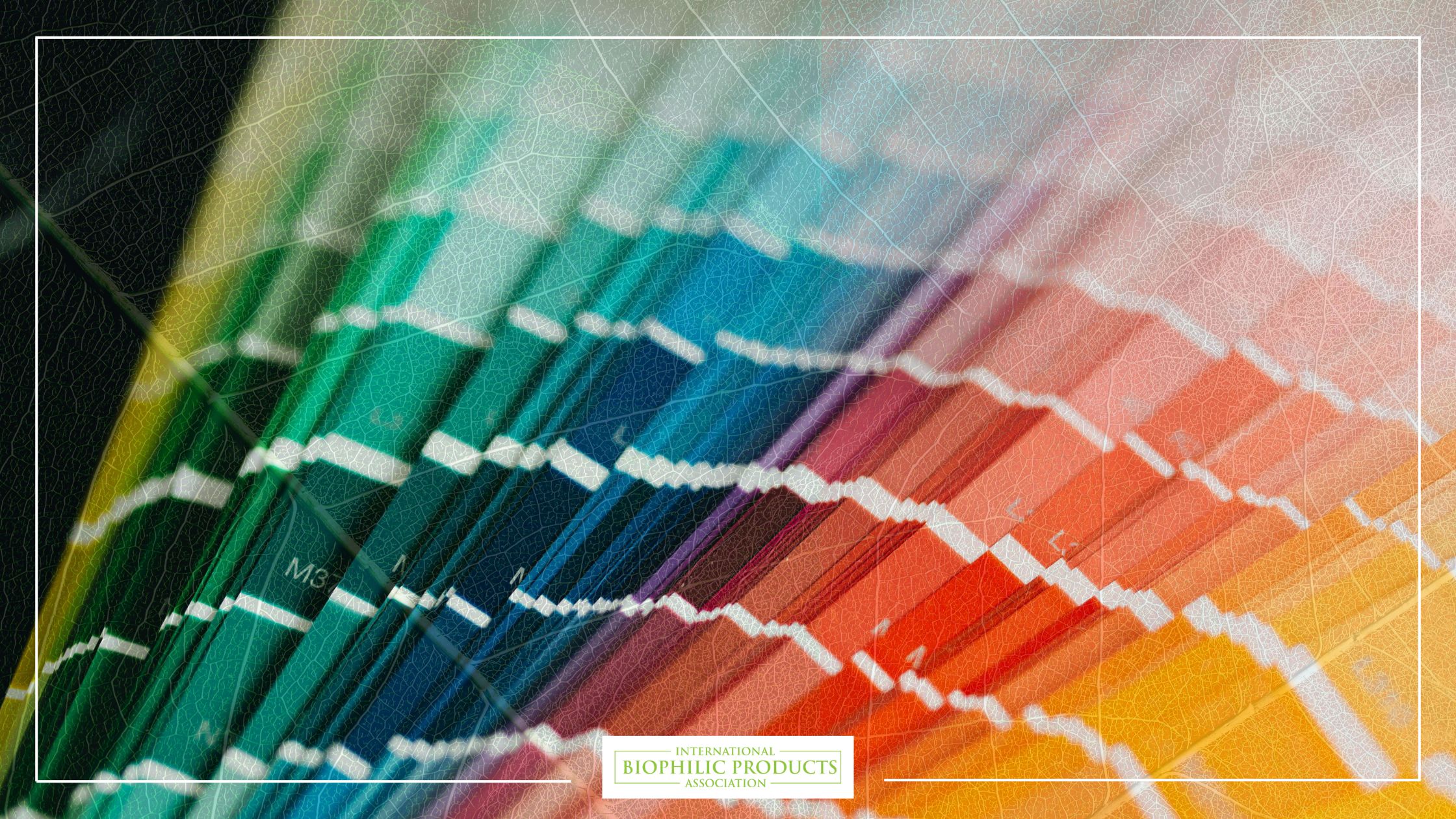 Biophilic Colors