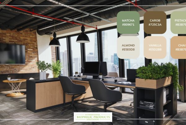 biophilic design collor palete
