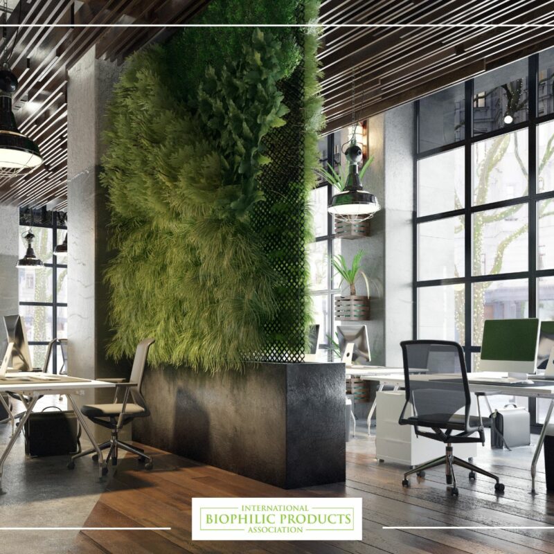 Biophilic design: the power of plants - Biophilic Products