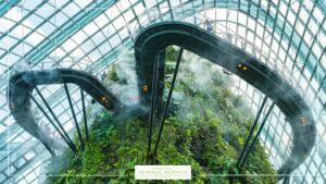 9 Forms patterns biophilic design
