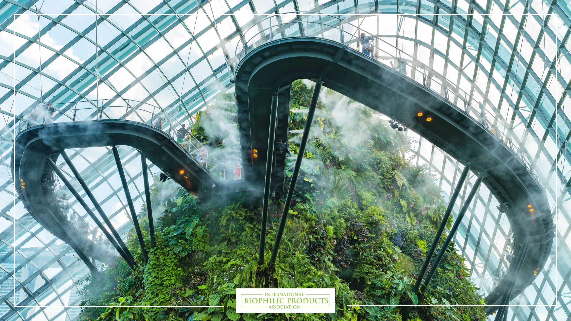 Biomorphic and biophilia: forms, shapes and patterns 5 Forms patterns biophilic design
